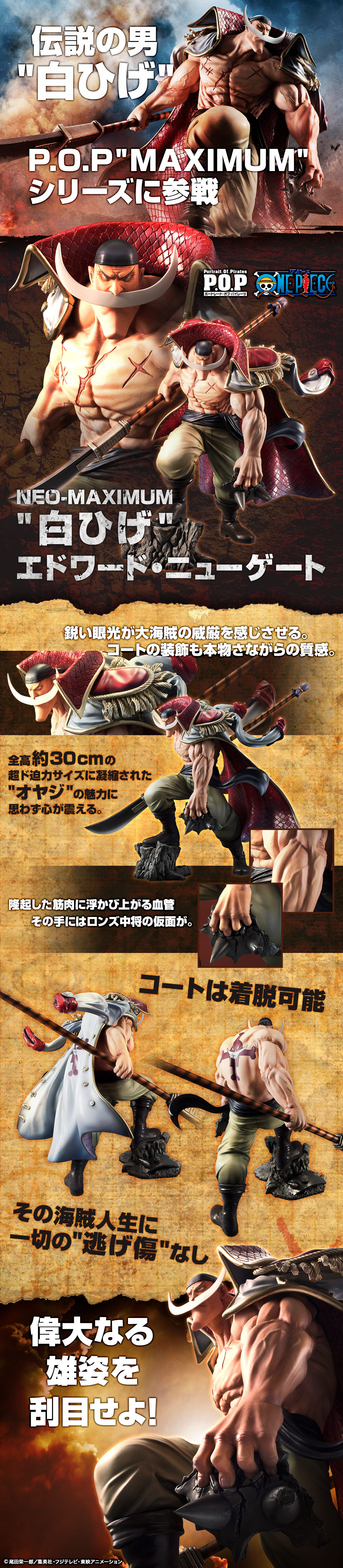 抽選販売】Portrait.Of.Piratesワンピース“NEO-MAXIMUM” “白ひげ