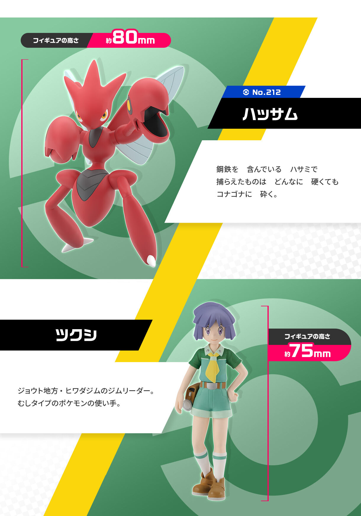 ポケモンスケールワールド ジョウト地方 ツクシ&ハッサム