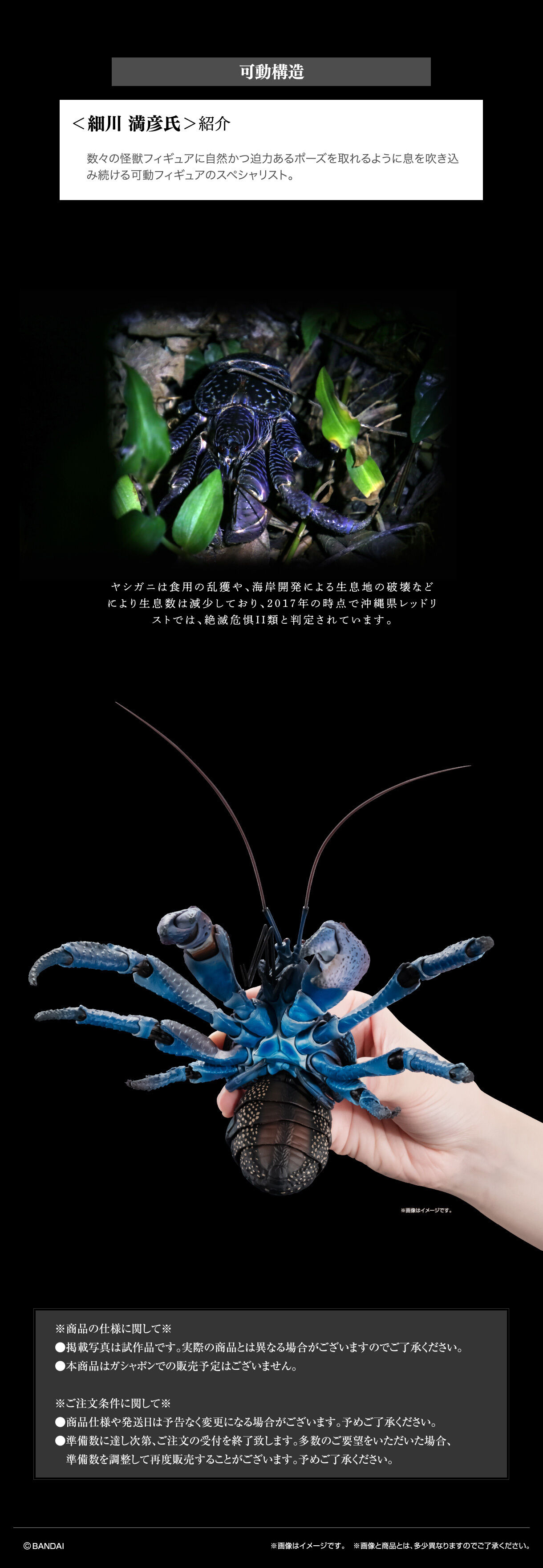 いきもの大図鑑プレミアム ヤシガニ | フィギュア | アニメグッズ