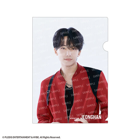 SVTクリアファイルvol.2 From PLEDIS ENTERTAINMENT SEVENTEEN