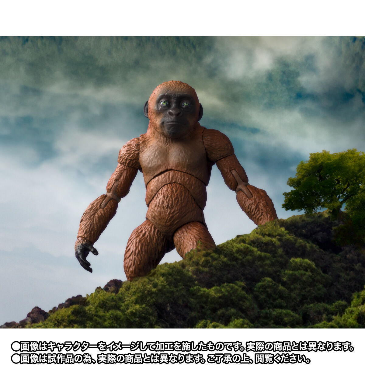 S.H.MonsterArts SUKO & MOTHRA (2024) FROM GODZILLA × KONG: THE NEW