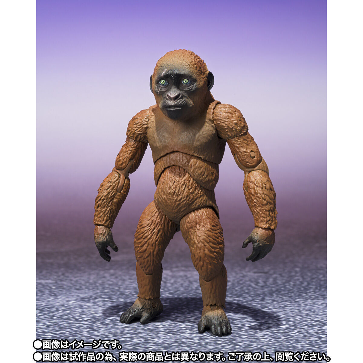 S.H.MonsterArts SUKO & MOTHRA (2024) FROM GODZILLA × KONG: THE NEW