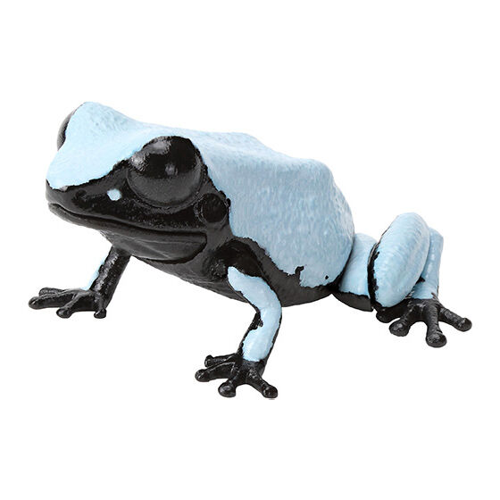 いきもの大図鑑レプティ ヤドクガエル｜ガシャポンオフィシャルサイト