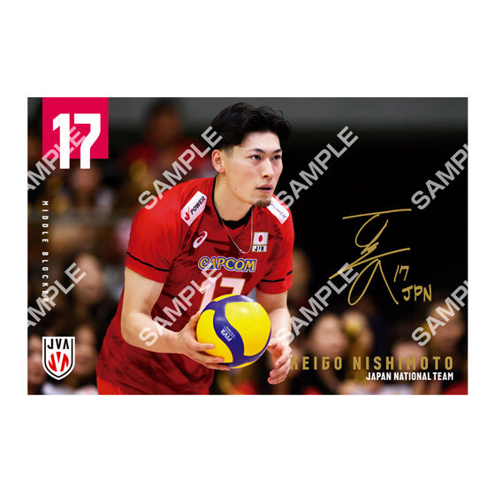 フラットガシャポン】バレーボール男子日本代表 ポストカード