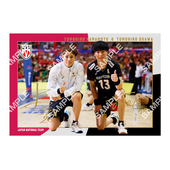 フラットガシャポン】バレーボール男子日本代表 ポストカード