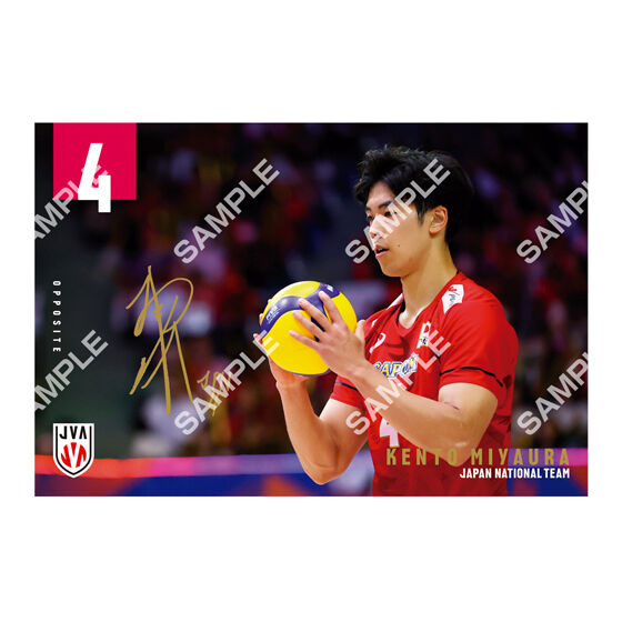 フラットガシャポン】バレーボール男子日本代表 ポストカード