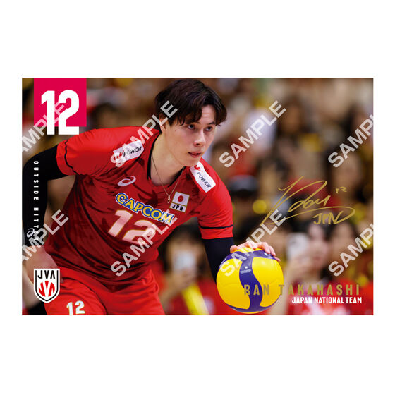 フラットガシャポン】バレーボール男子日本代表 ポストカード