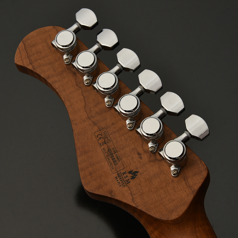 GIN-FORCE/RSM (Bacchus / バッカス) エレキギター