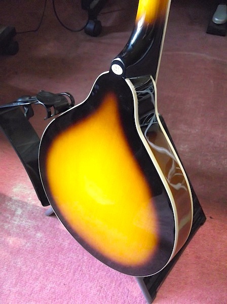 PLAYTECH/フラットマンドリン～レビュー（楽器）: ♪音楽工房『K.A.P』♪