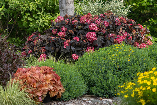 Product Detail - Bailey Portal