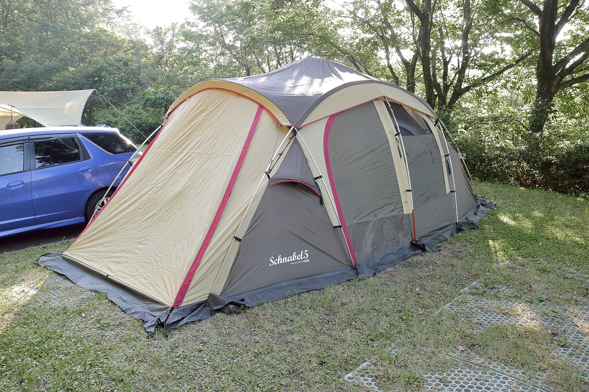 ようやく初張り！シュナーベル5。しかし・・・。(号泣): 馬鹿な