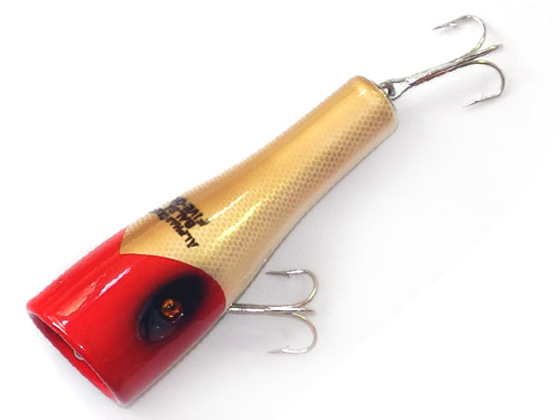 SAURUS | ザウルス