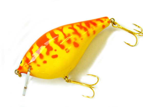 SAURUS | ザウルス