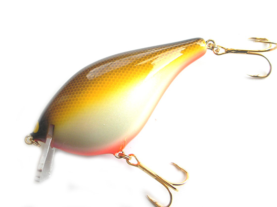 SAURUS | ザウルス