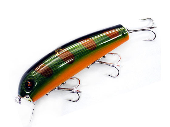 SAURUS | ザウルス