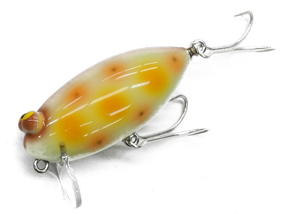 SAURUS | ザウルス