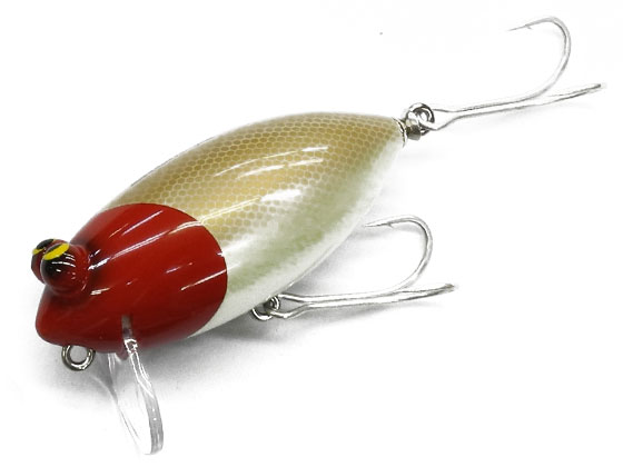 SAURUS | ザウルス