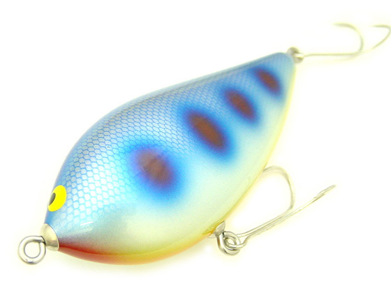 SAURUS | ザウルス