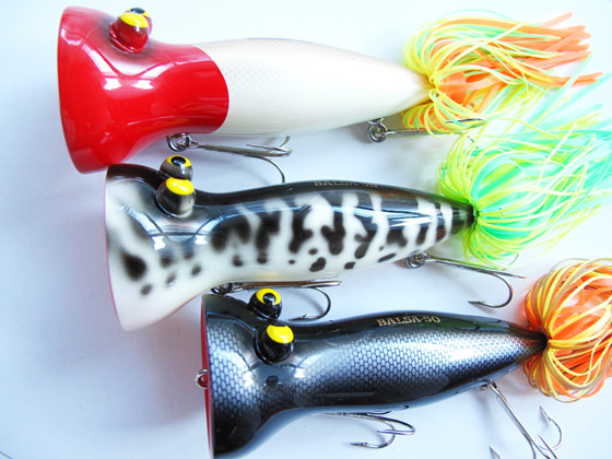 SAURUS | ザウルス