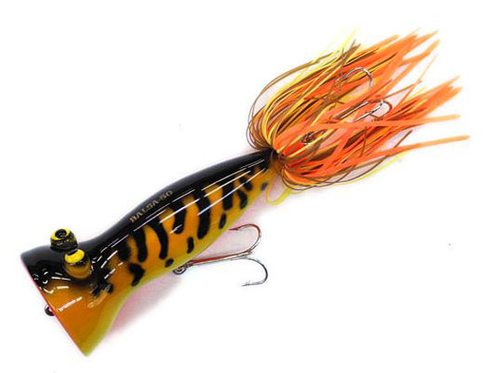 SAURUS | ザウルス