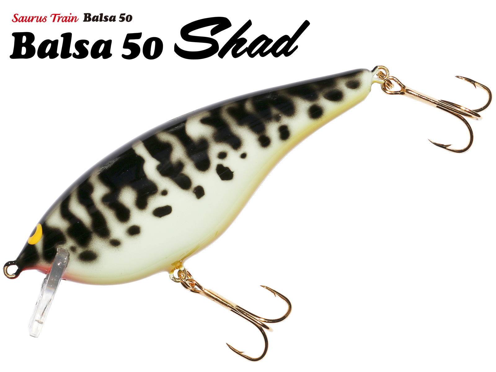 SAURUS | ザウルス