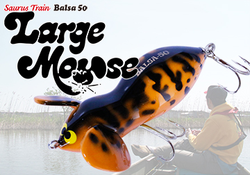 SAURUS | ザウルス