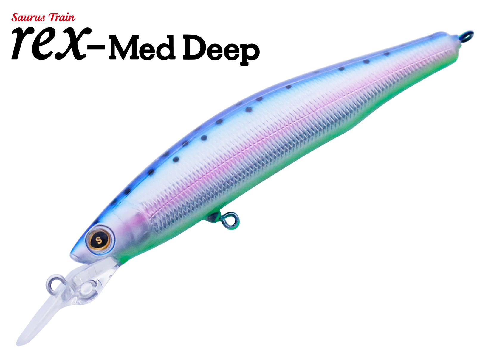 SAURUS | ザウルス