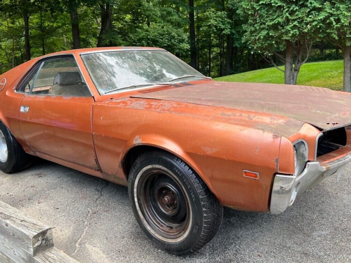 AMXProf-e1661322959550-