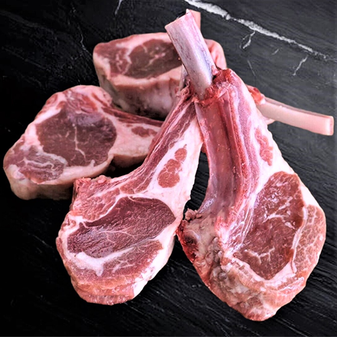 img_4fa37e5b510bd95e7075bcb8b5