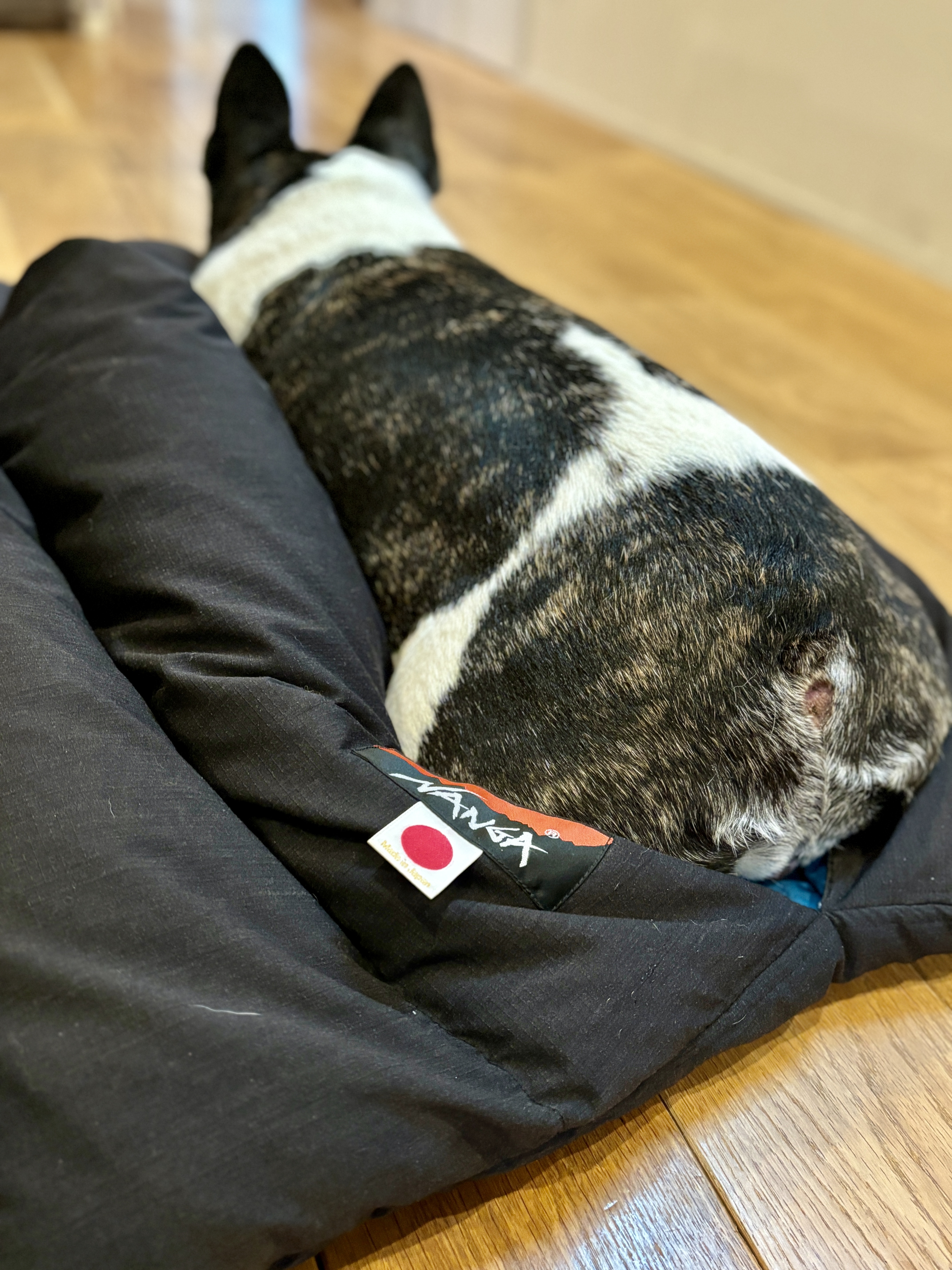 GREEN WOOD別注 NANGAお犬様お布団／2024年新型モデル 犬用布団／犬用