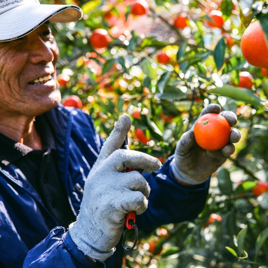 img_2b86b93e60f7d32741c15d4c97