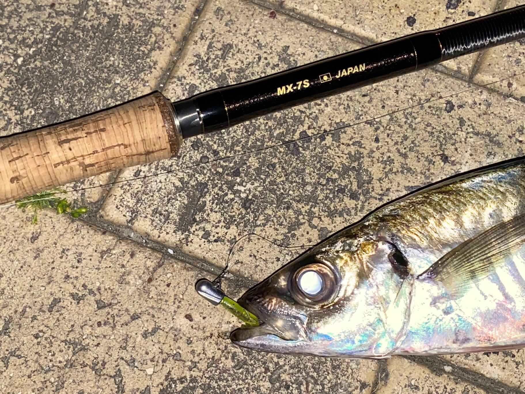 今再び？MX-7S無双、語ってもらった | Monster BASE