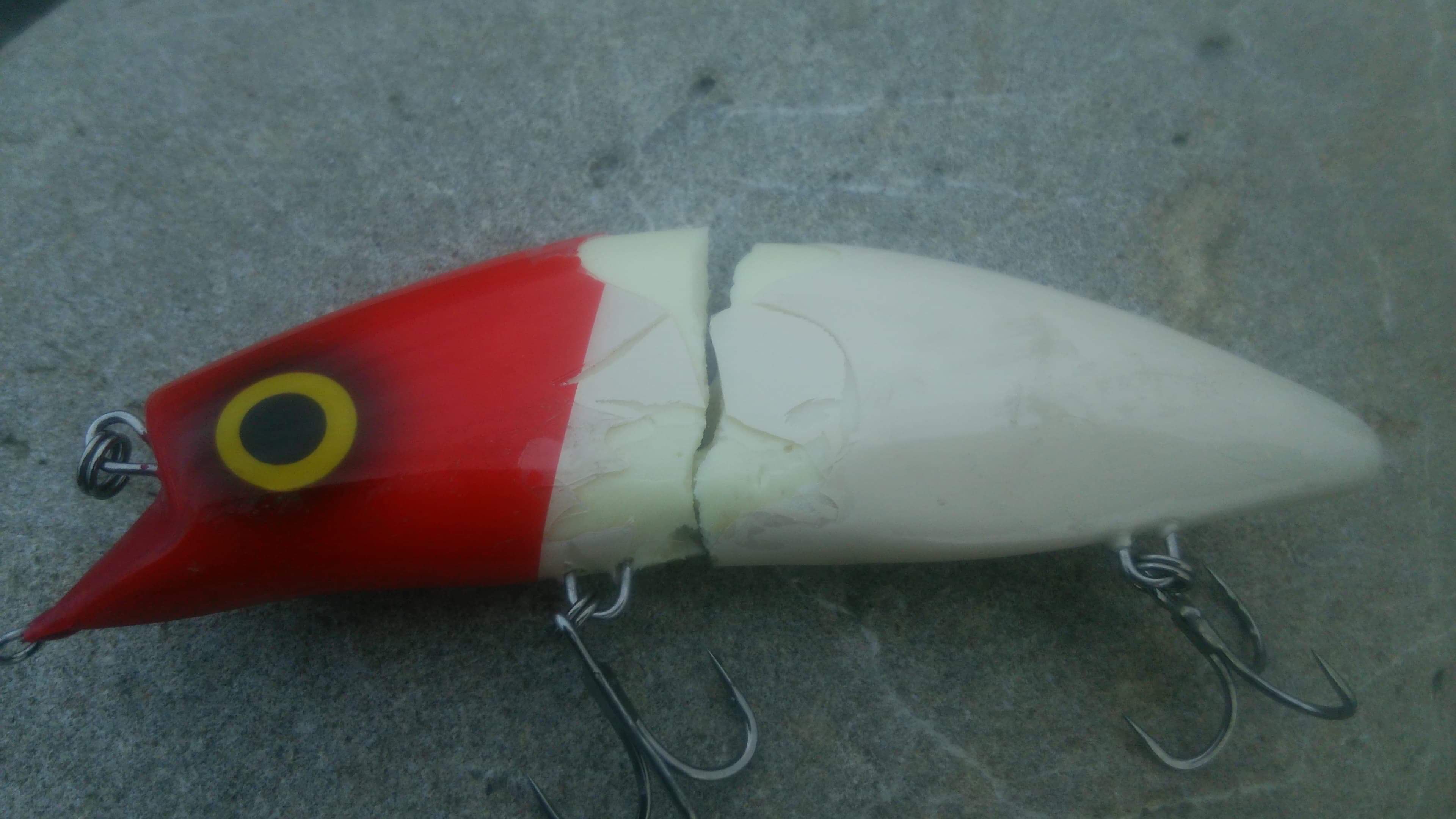 キョロキョロ140Fの扱い方について | RIDGELINE ONLINE SHOP