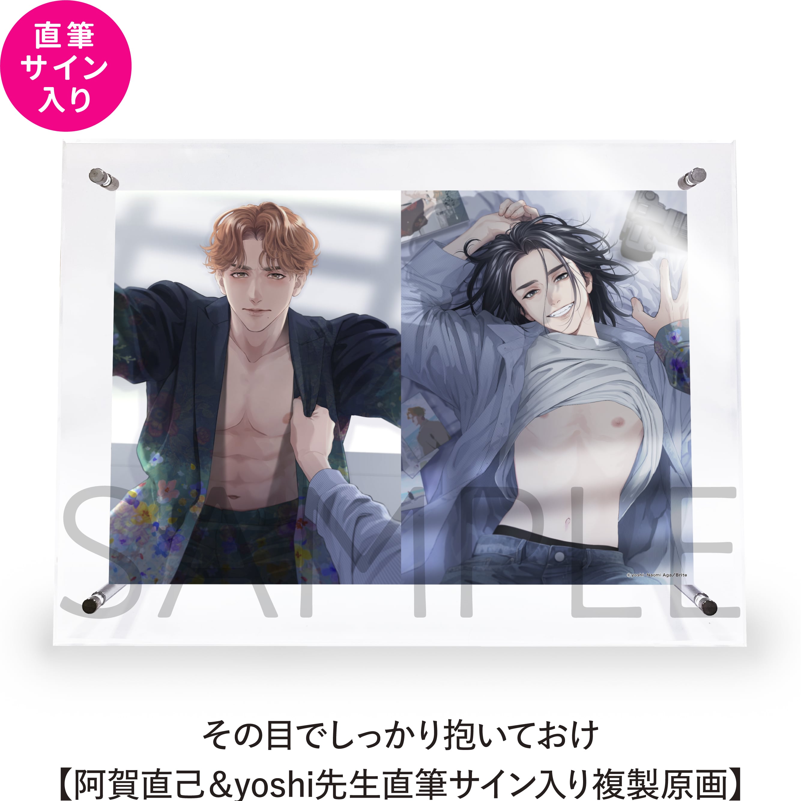 モンスターアンドゴースト【ヒメミコ先生直筆サイン入り複製原画