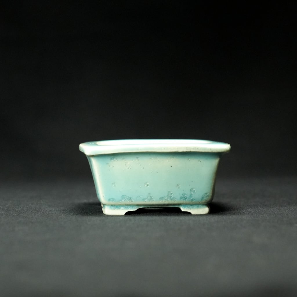 志水鉢 正方【盆栽Q5周年記念】 | bonsaiQ store