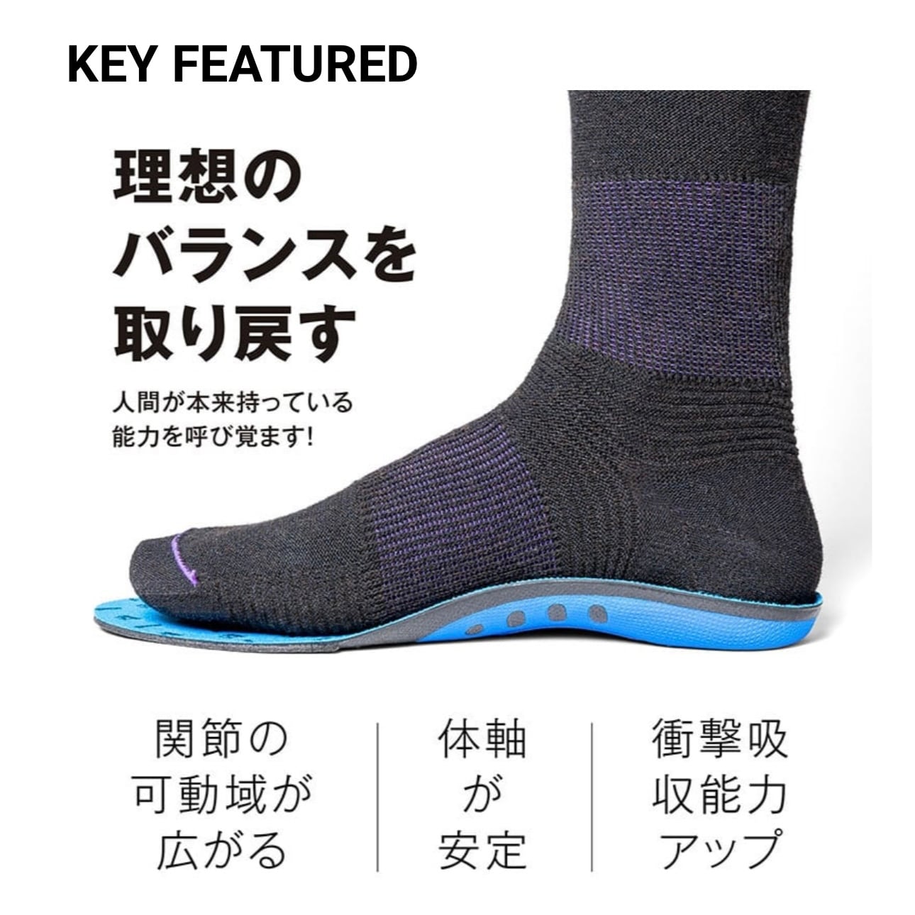 Salomon 『 MALAMUTE 』 24-25 snowboard スノーボード サロモン