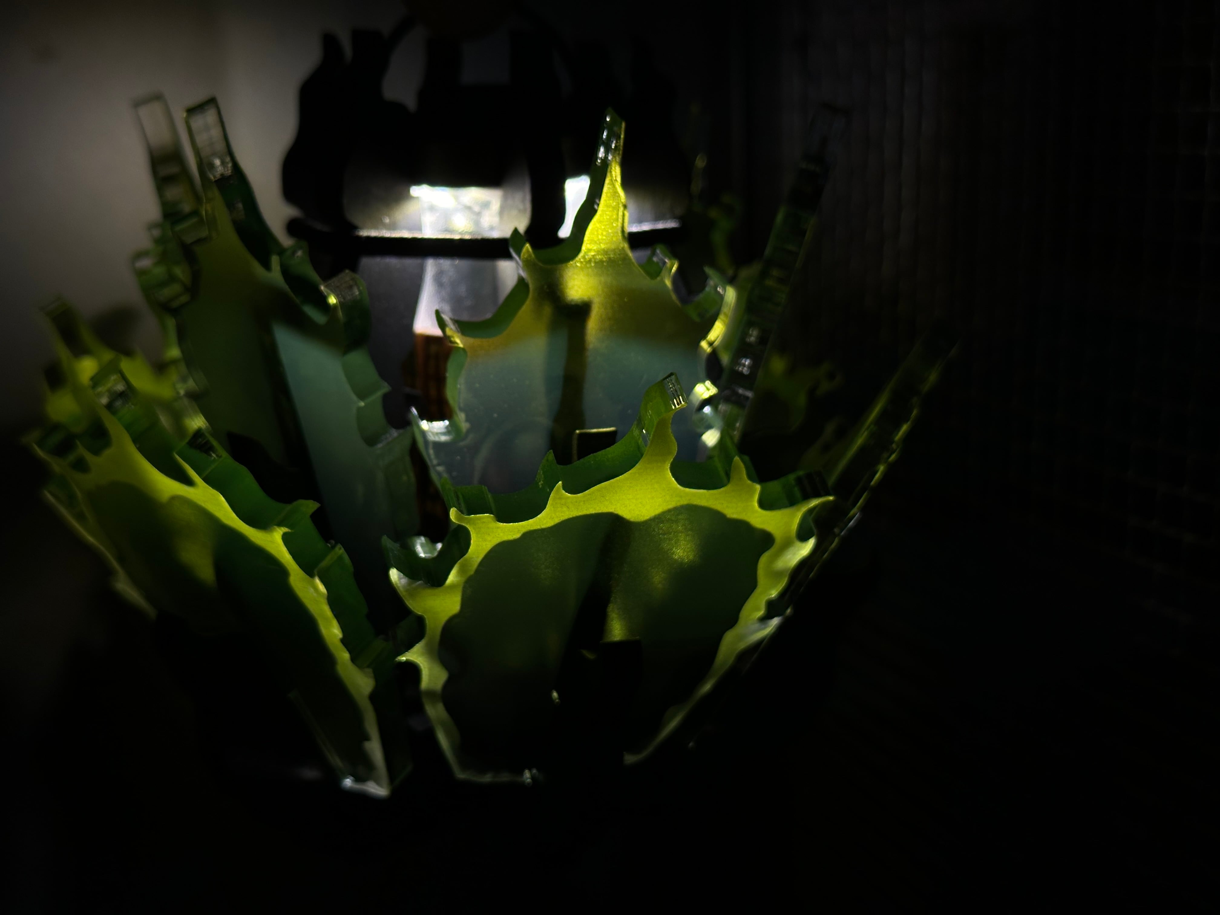 AGAVE-ZERO ［REAL TYPE］ライトグリーン | soulabo