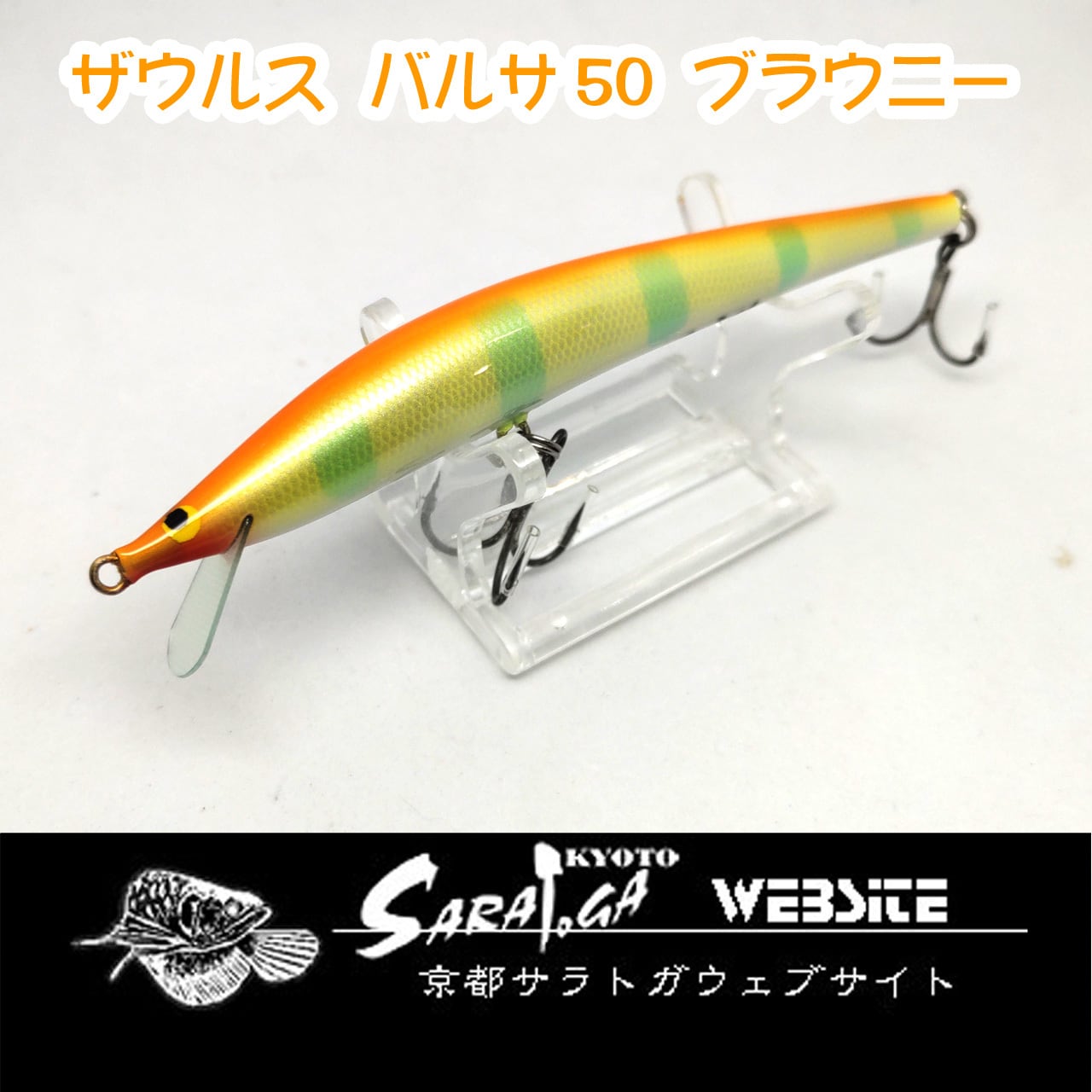 ザウルス ヨルマルミノー | 京都さらとが