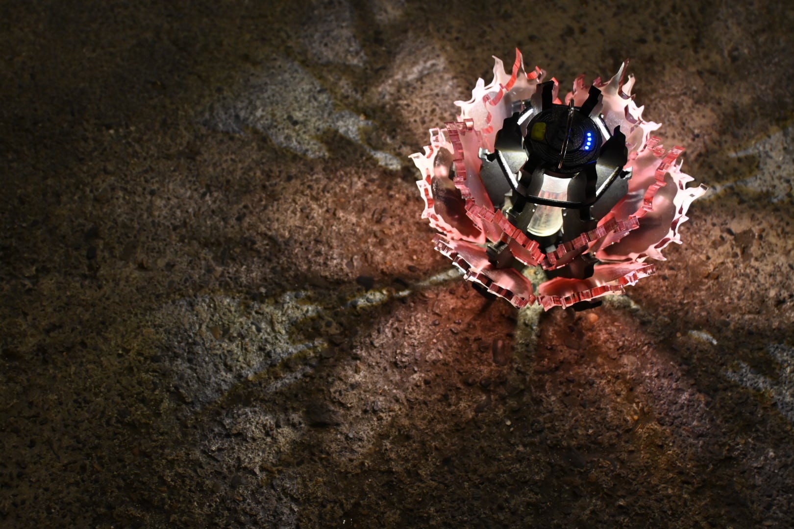 AGAVE-ZERO ［REAL TYPE］SAKURA | soulabo