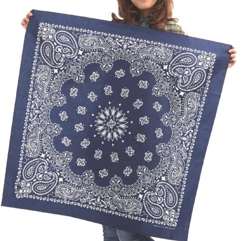 5d48d0d6b31d57685458ae97ca3004