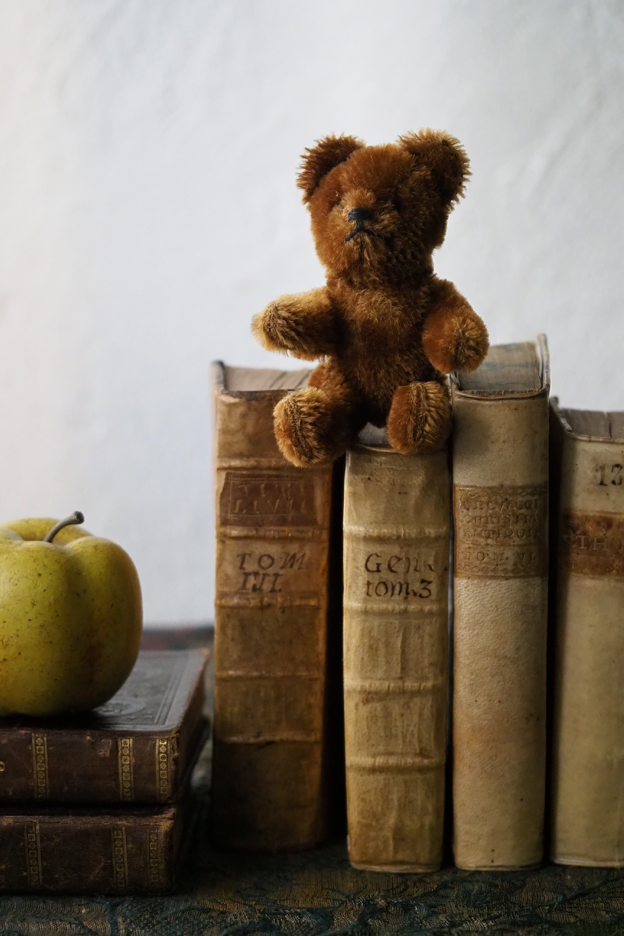 ぬいぐるみ | アンティーク.ヴィンテージ家具雑貨オンライン通販