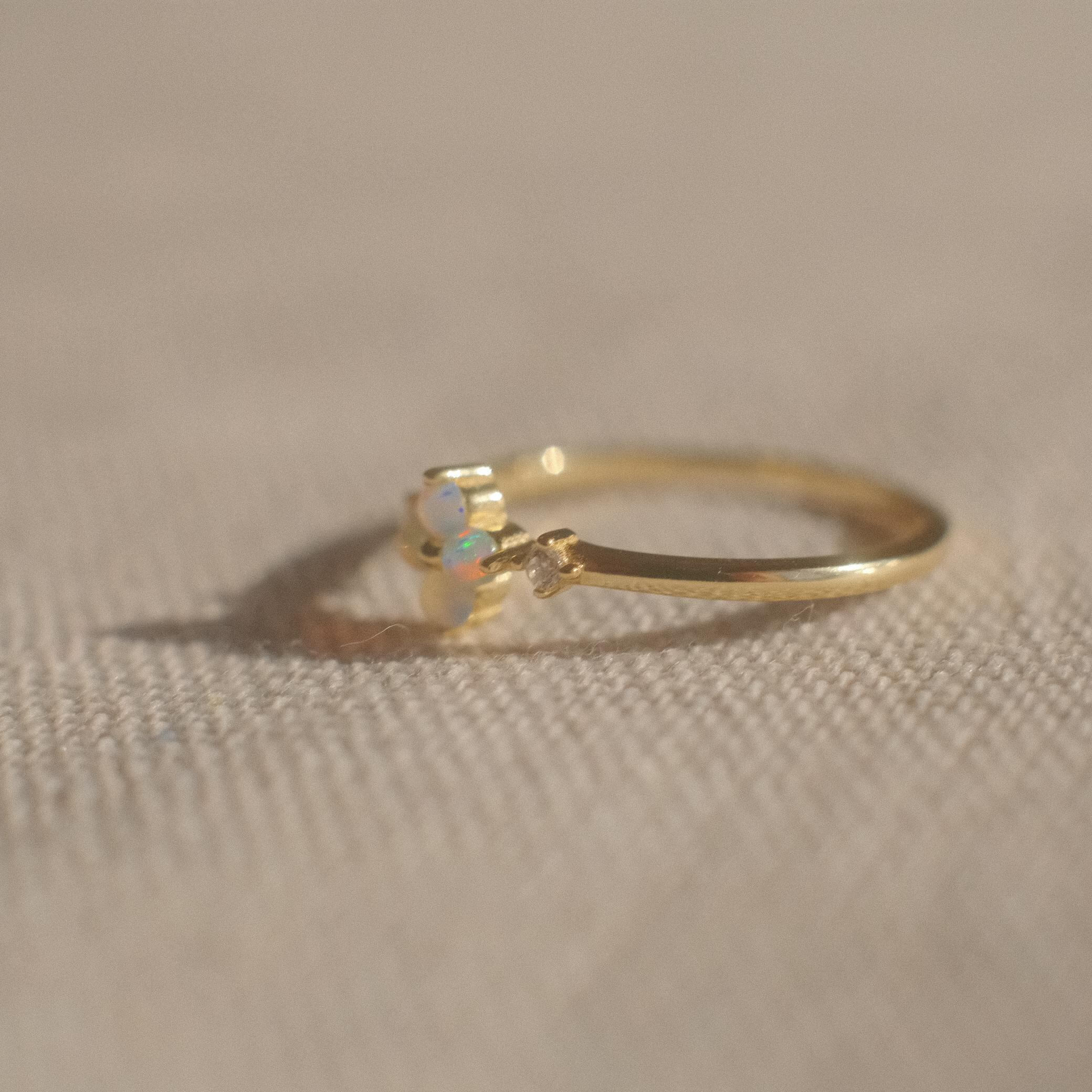 The Princess Ring Collection: 21 | flemington