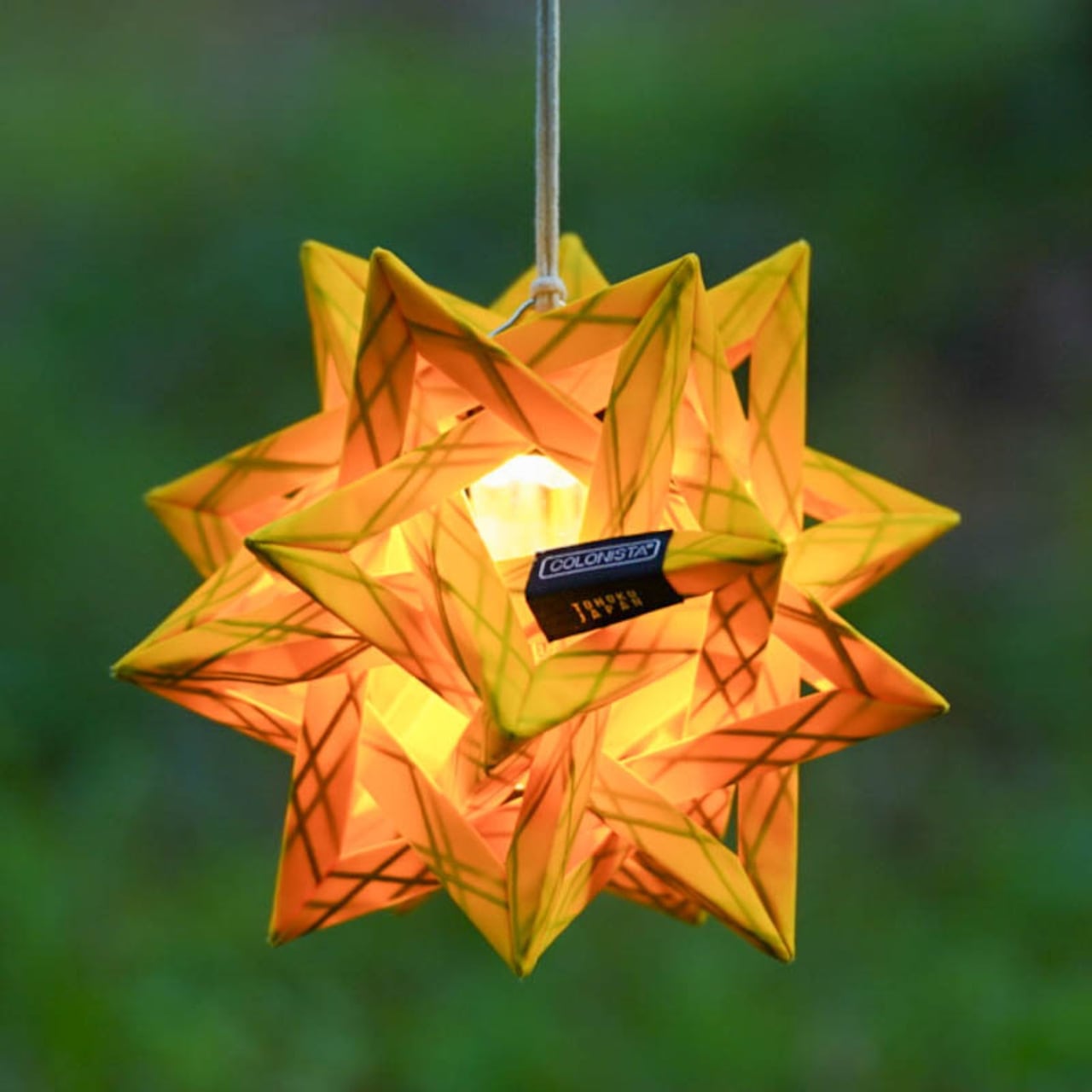 COLONISTA コロニスタ COLOくん White | GOLDEN FOREST