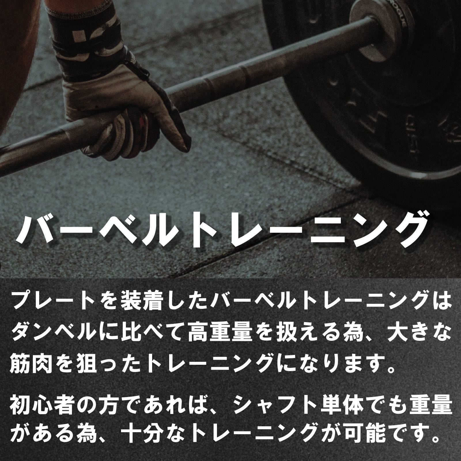 Wout 新品 Wバー EZバー バーベル シャフト ホームジム トレーニング