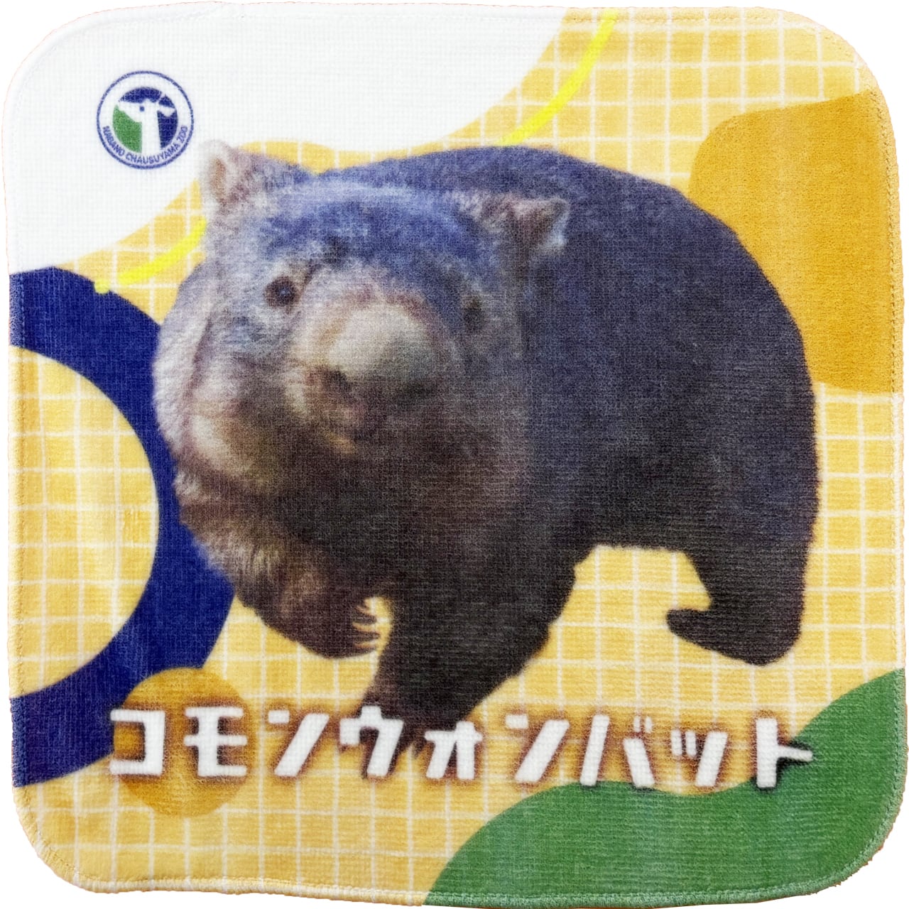 ウォンバット | ZOOっとながの