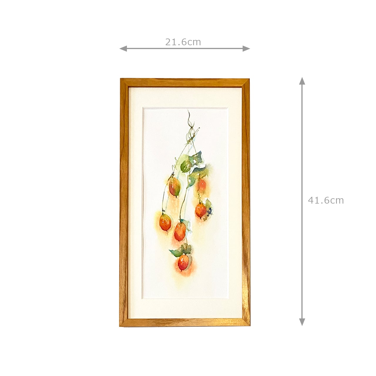 原画 『 カラスウリ 』 水彩画 烏瓜の絵 | Pay ID