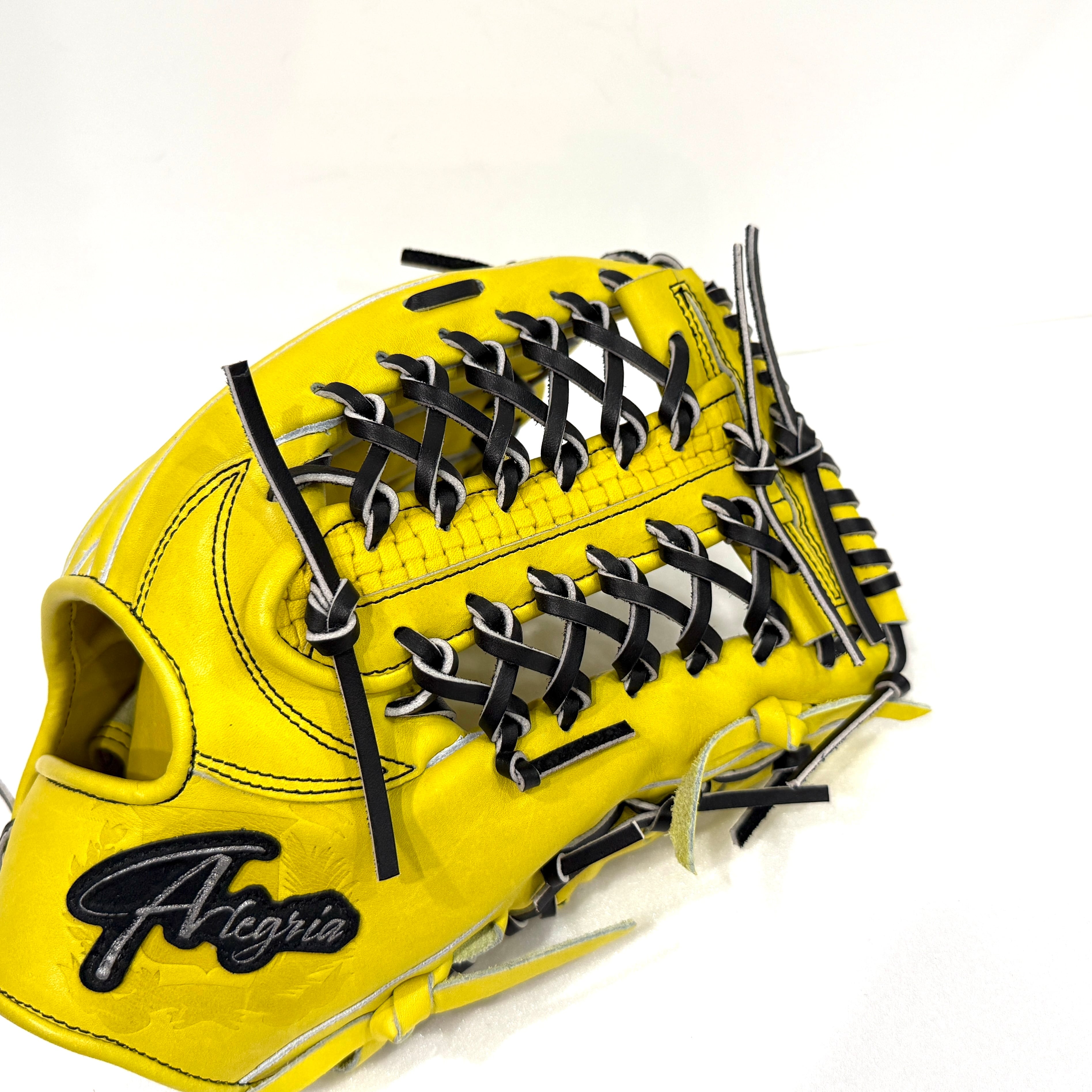 Alegria 硬式グラブ AG-OF24（外野手用） | GLOVE BOX OSAKA