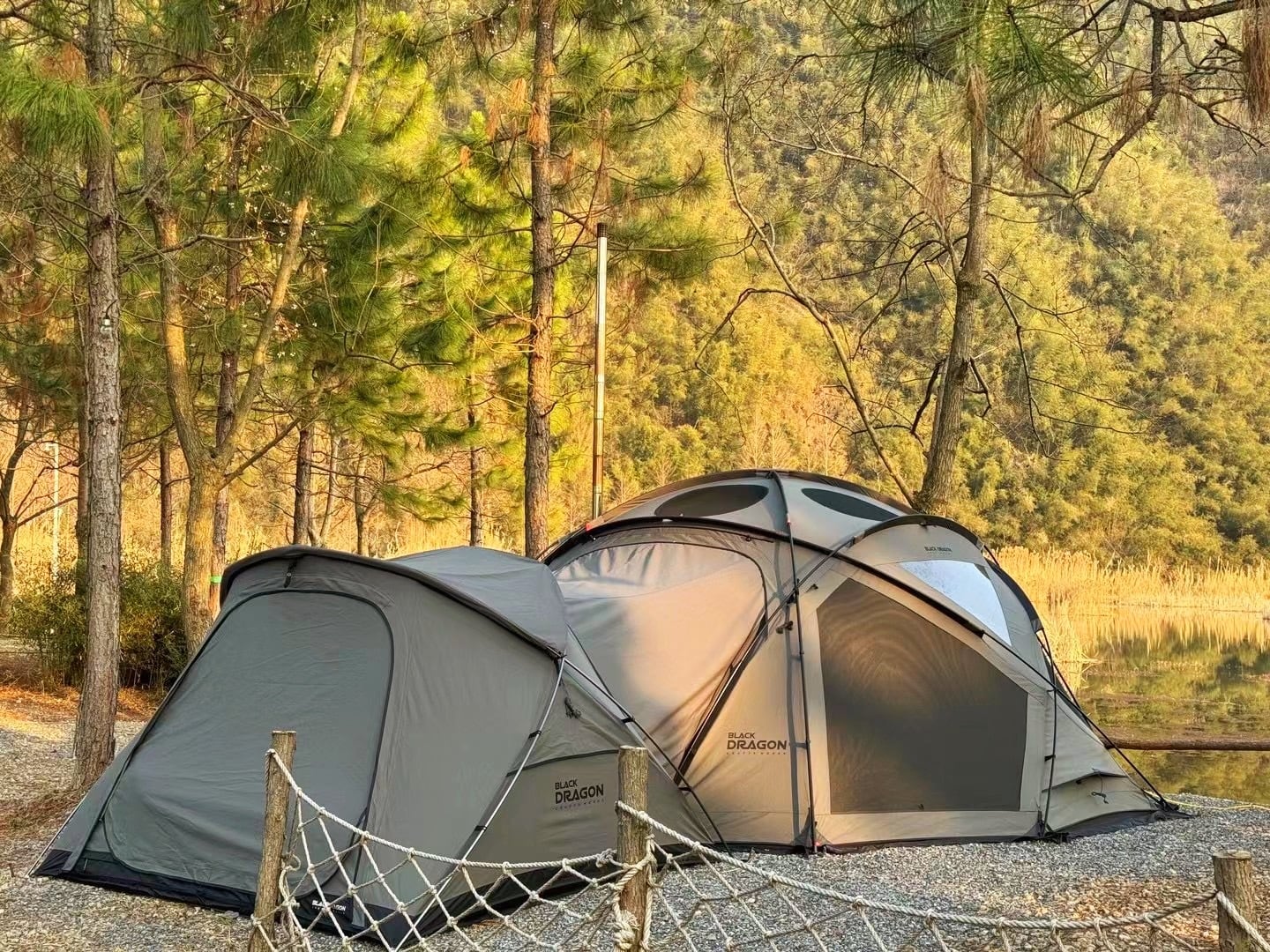 4P Pro T/C | Black Dragon Japan