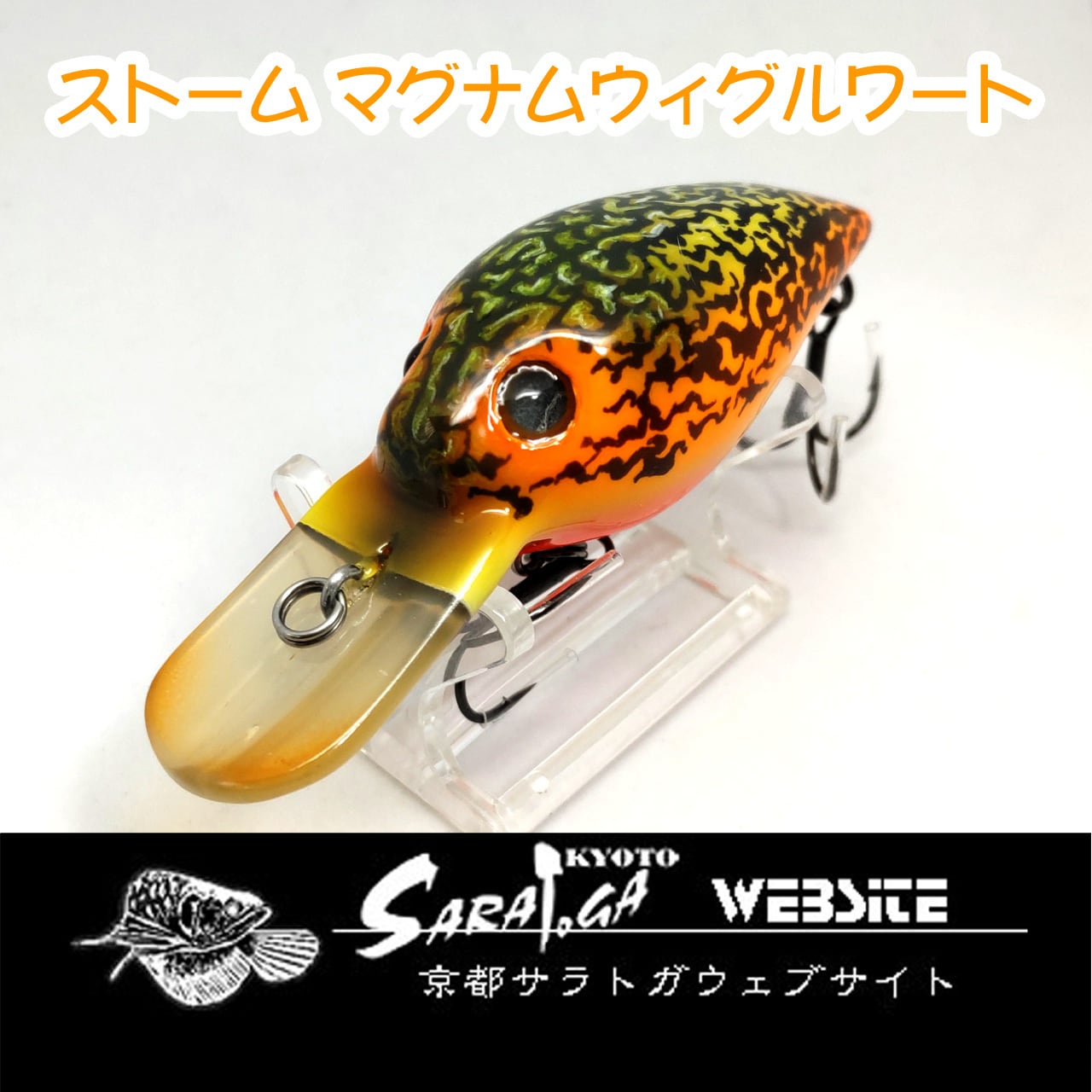 ストーム マグナム ウィグルワート | 京都さらとが