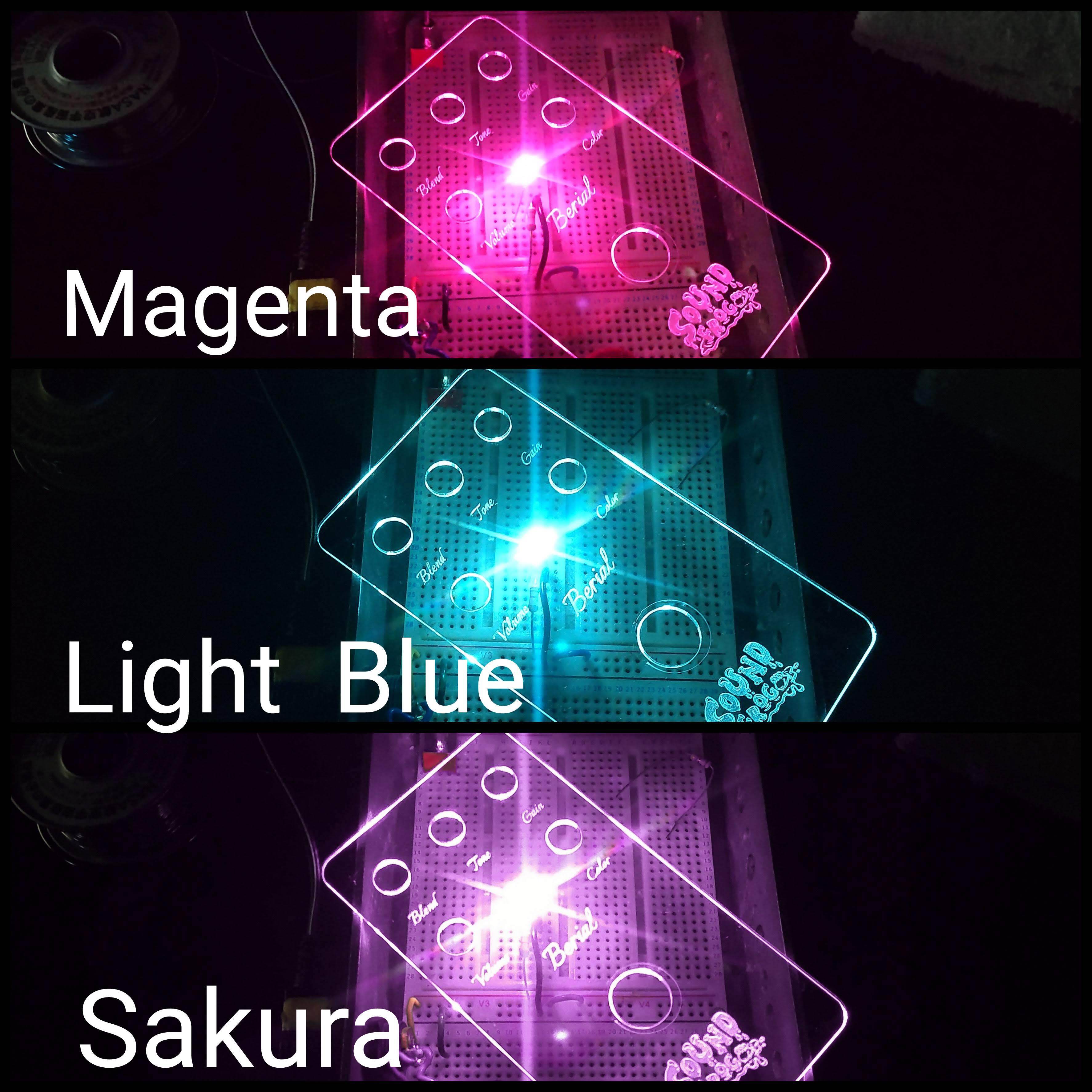 Skagg | SOUNDFROG SHOP